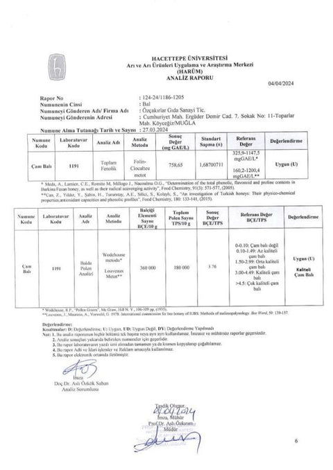 Kb Köyceğiz Balı Çam Balı 4850 G Teneke