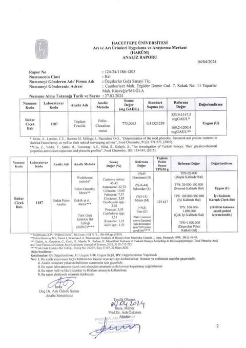 Kb Köyceğiz Balı Bahar Çiçek Balı 2850 G Teneke