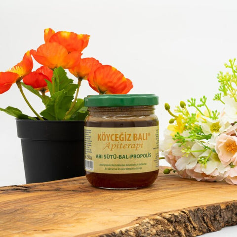 Kb Köyceğiz Balı Arı Sütü Bal Propolis Karışımı 250 G Cam Kavanoz